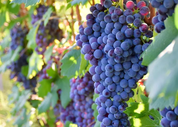 Appartement Casa Zanassi